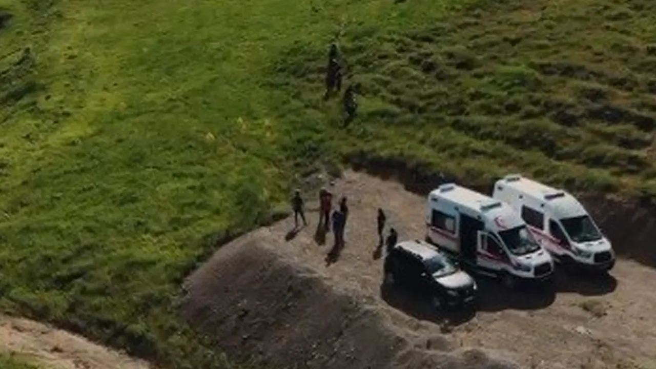Tunceli'de mantar toplamaya giden 3 kişiye ayı saldırdı
