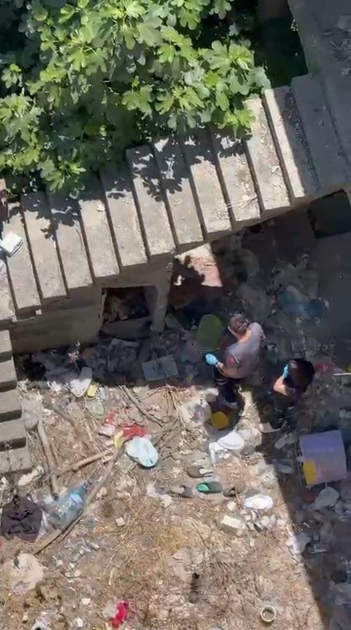 Sarıyer'de metruk binada kayıp kedisini arayan kadın ceset buldu
