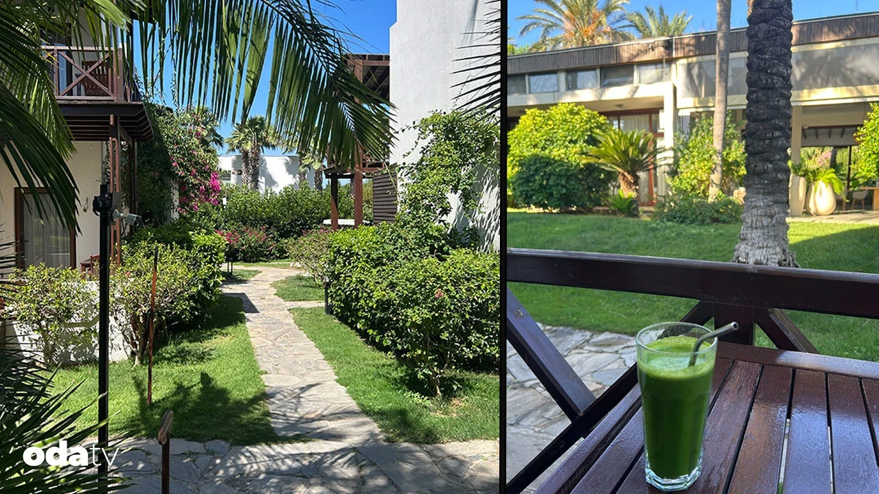 Lezzet mi, detoks mu; ikisi bir arada mümkün mü I Özge Zeki yazdı