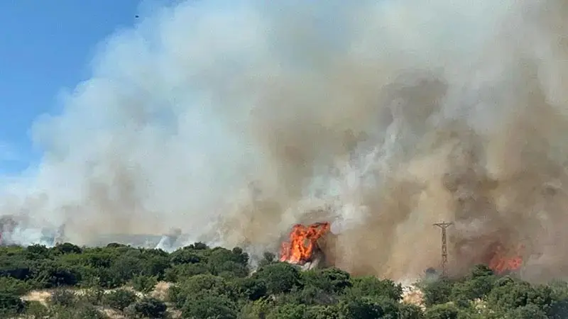 Çanakkale'de bozuk ormanda yangın