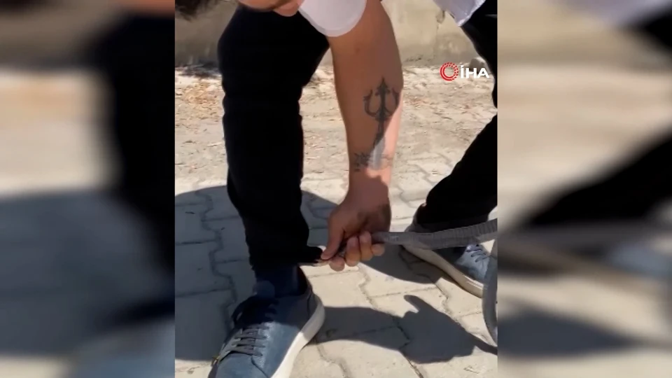 Hatay'da Yılancı Kemal Yılan Yakalarken Isırıldı