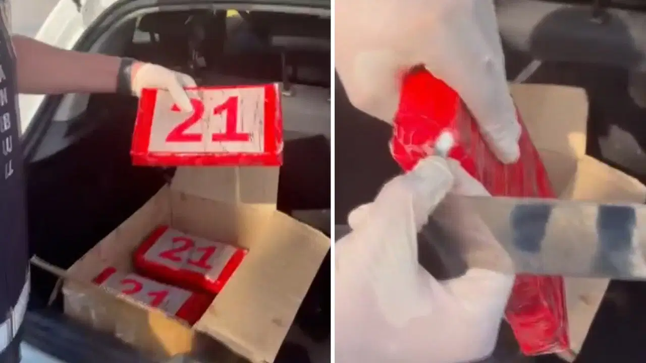 Paketlerdeki ayrıntı dikkat çekti... İstanbul'da 'uyuşturucu' operasyonu: Otomobilden 20 kilogram kokain çıktı