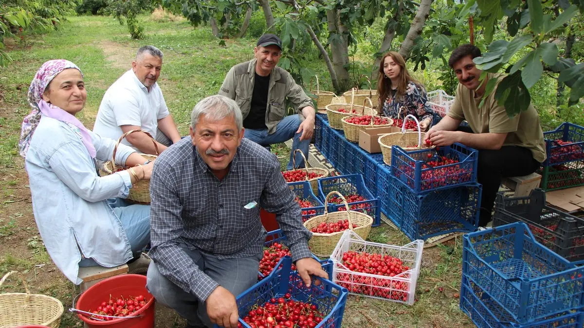 Geçen yıl yoktu, bu yıl yüzde 30’u yurt dışına gidiyor