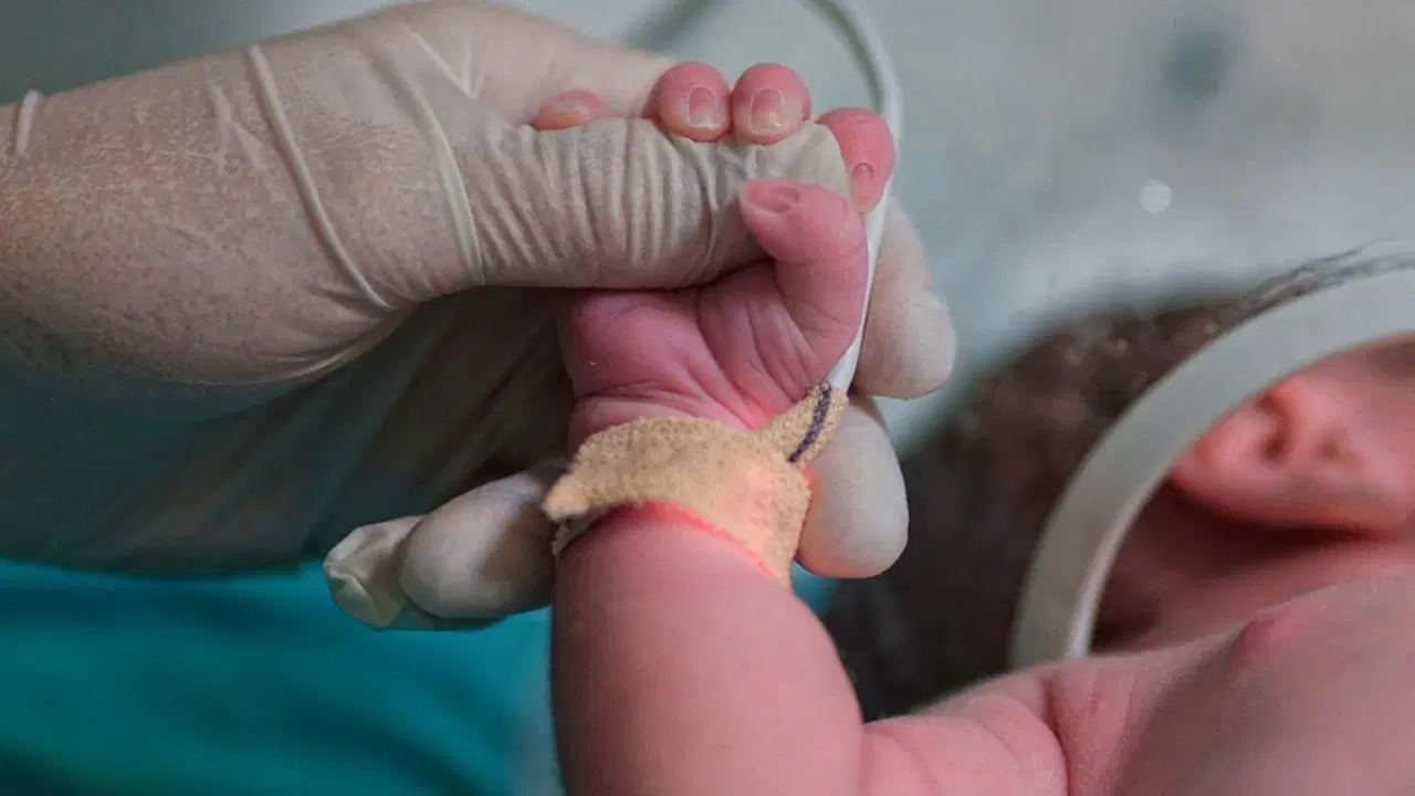 'Yenidoğan Çetesi' davasının 9’ncu duruşması başladı