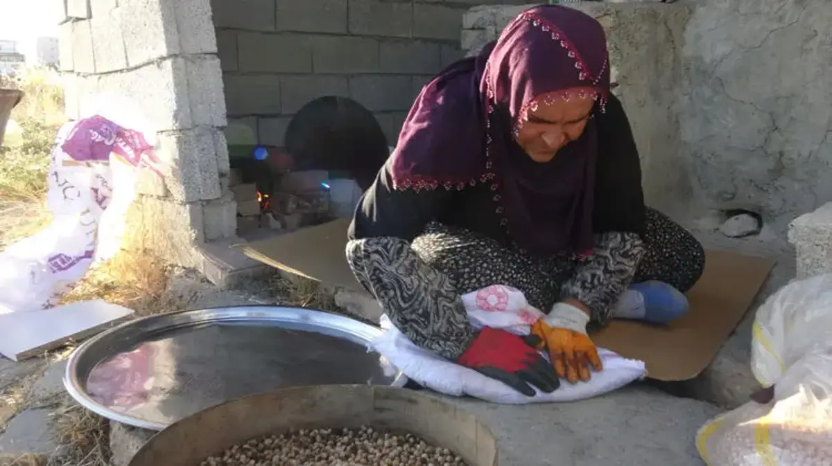 Tadını kumdan alan lezzet! Gercüş'ün geleneksel yöntemlerle bin bir zahmetle yapılan kumda leblebisine yoğun ilgi