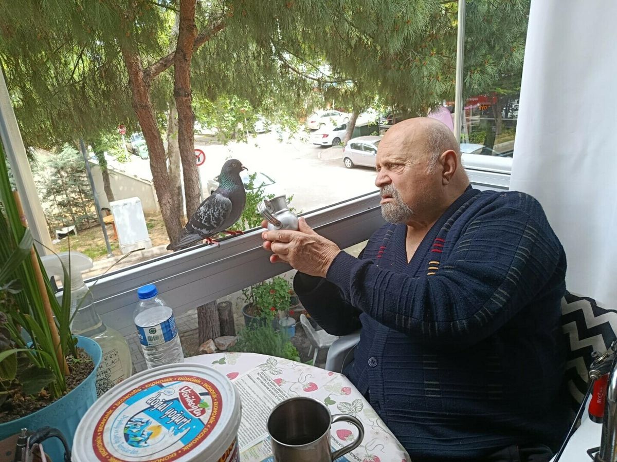90 yaşındaki Kemal Gökduman, dizlerinde protez olan güvercine sahip çıkıyor