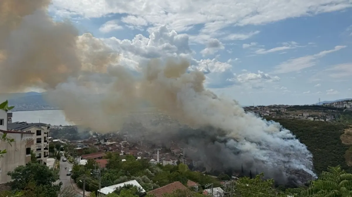 İki şehirden yangın haberi! Havadan ve karadan yoğun müdahale