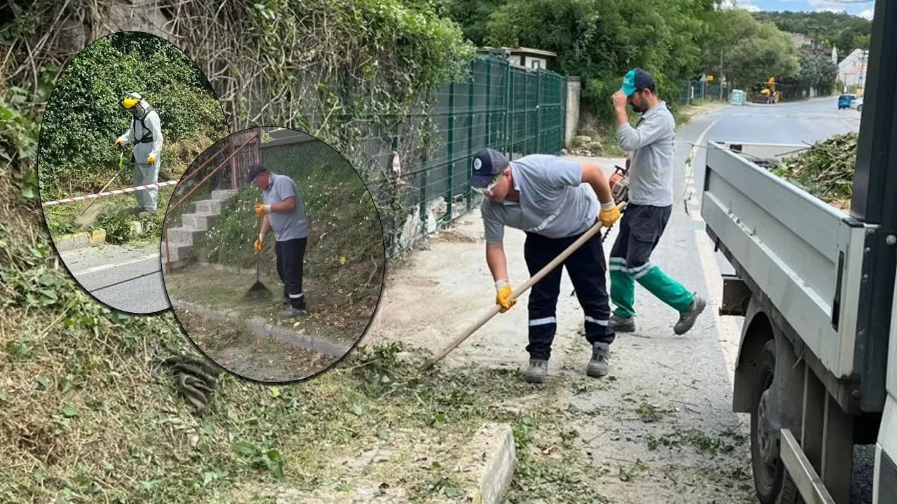 İBB ilgilenmedi, Beykoz Belediyesi devreye girdi!