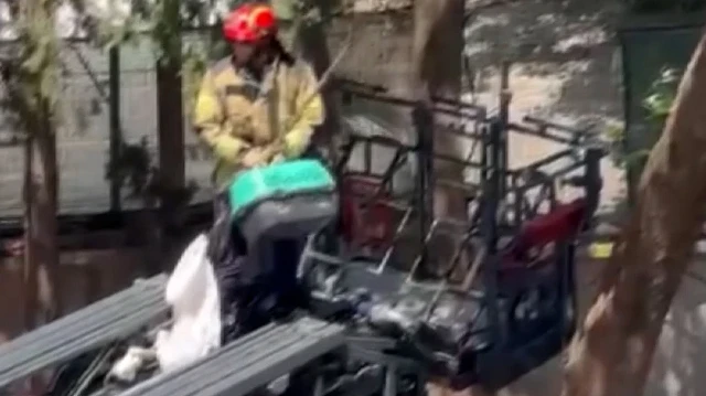 Gece boyunca ağaçta mahsur kaldı: Yavru kedi için seferber oldular