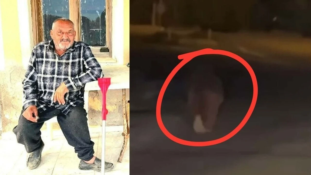İzmir'de akıl almaz olay! Balkonda uyuyan adamı ayı tam 20 metre sürükledi! Yaşlı adam hayatını kaybetti