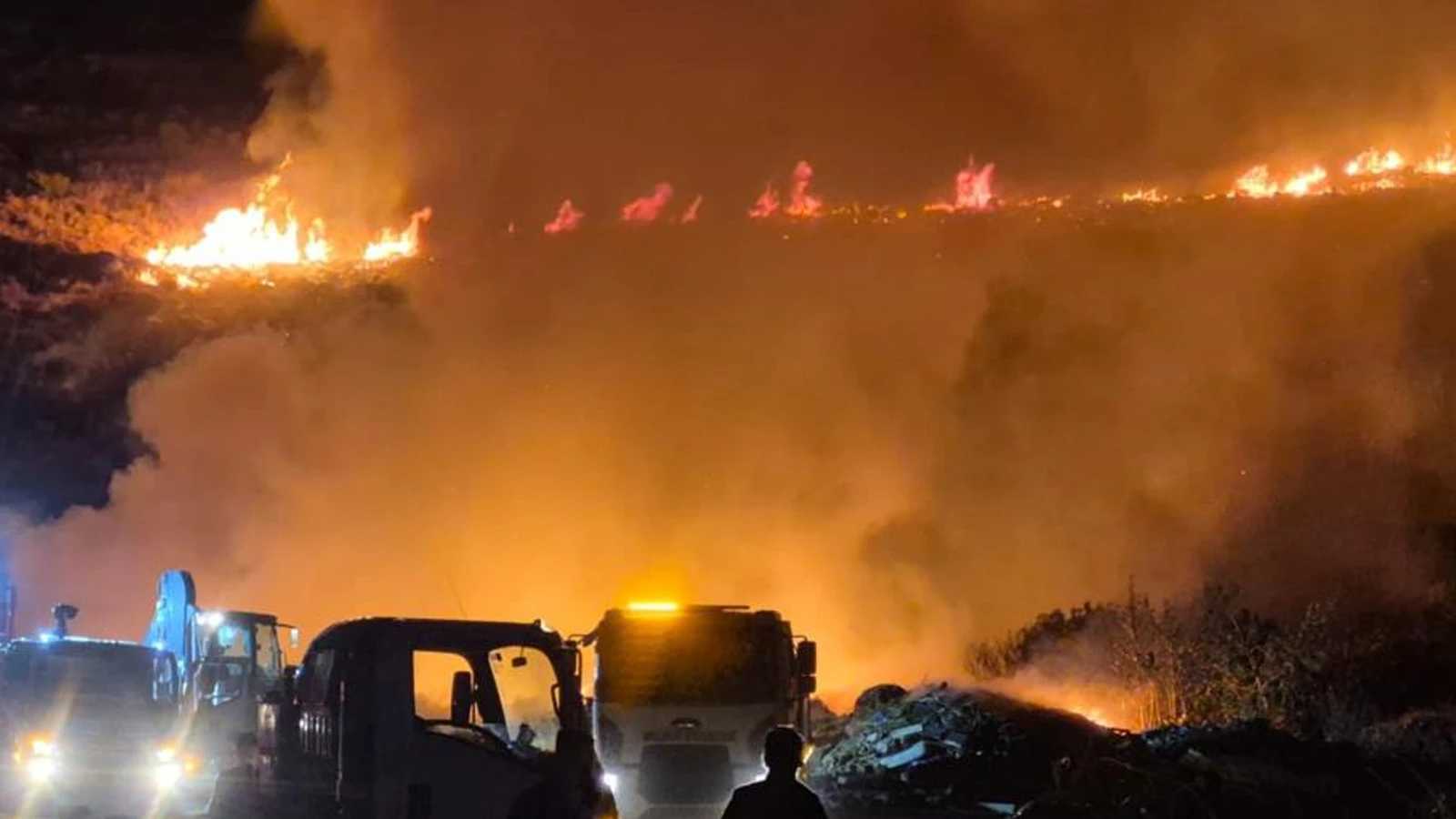 Bodrum’da makilik alanda yangın
