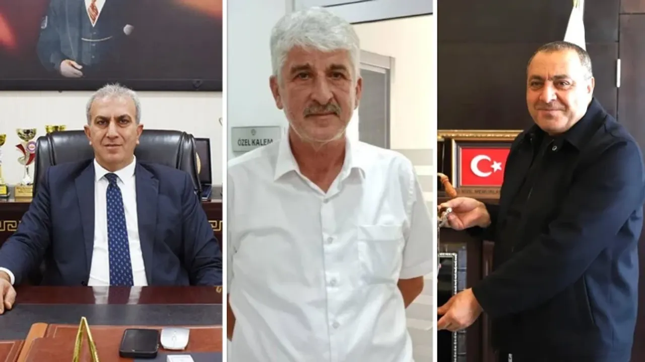 Sokak köpekleri saldırıları sonrası belediyelere soruşturma