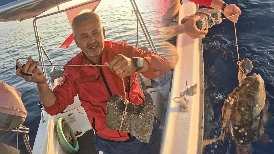 Caretta Caretta Vahşeti: Ayağına bağlanan kaldırım taşı iki saatte kesildi | Doğa Haberleri