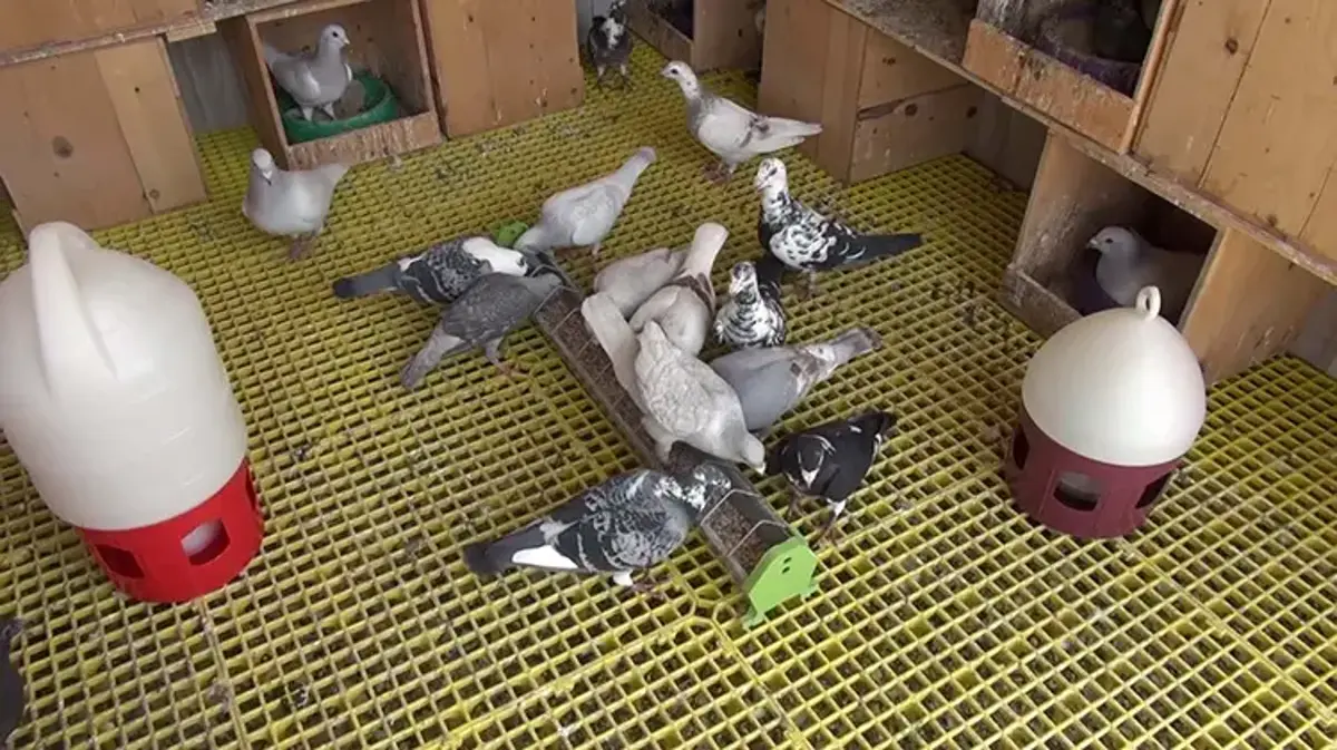 Telefon bağımlılığından bu sayede kurtuldu! 'Hayatım birden bire değişti'