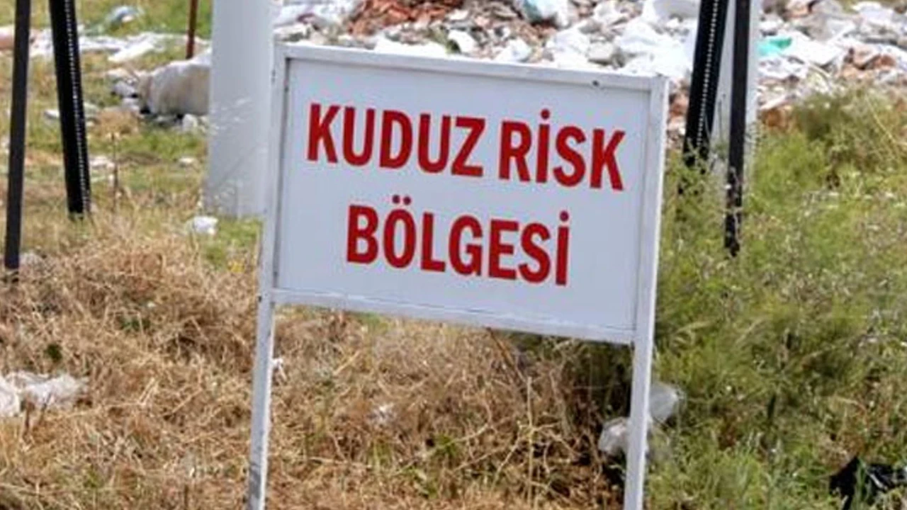 Van'da kuduz paniği: 7 mahalle karantinaya alındı