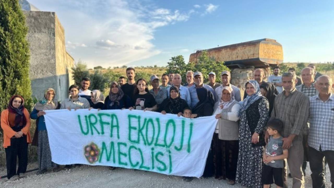 Fıstık bahçeleri tehlikede
