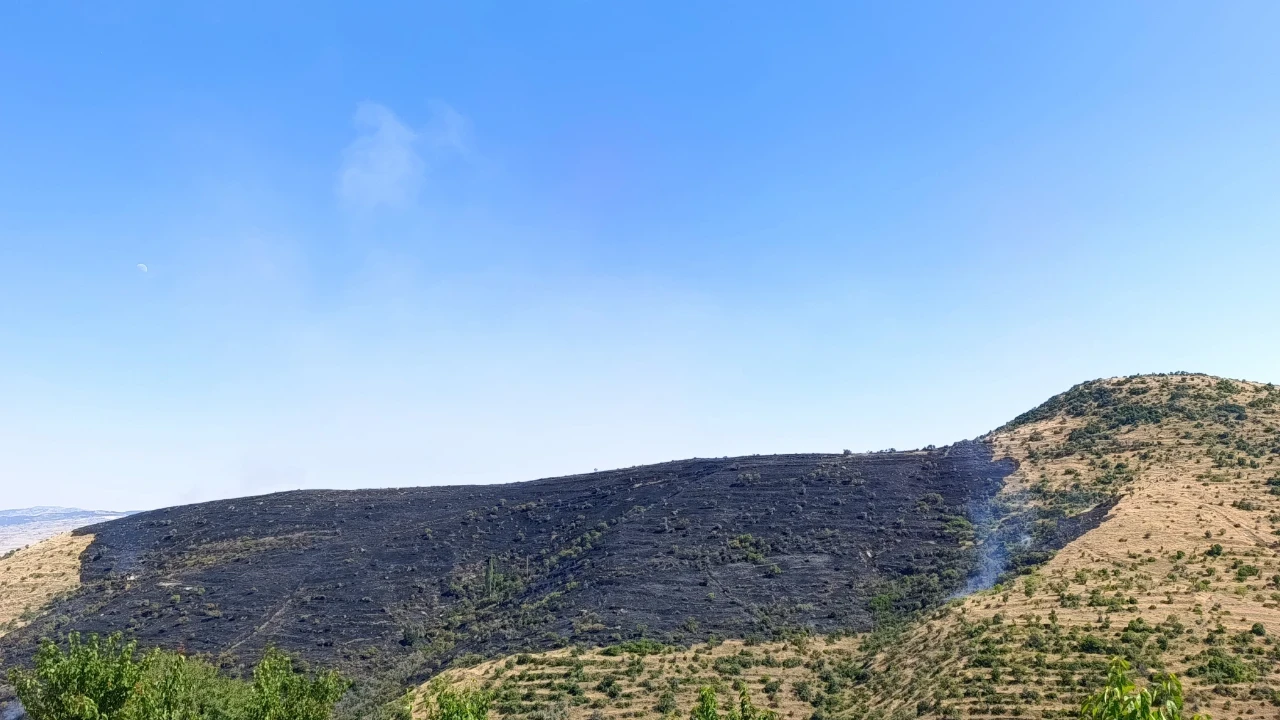 150 hektar ve iki ev küle döndü