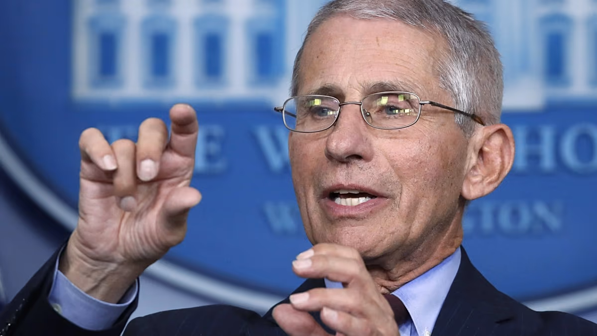 Gabbard'dan Fauci'ye ağır suçlamalar: COVID-19 belgelerinde neler var?