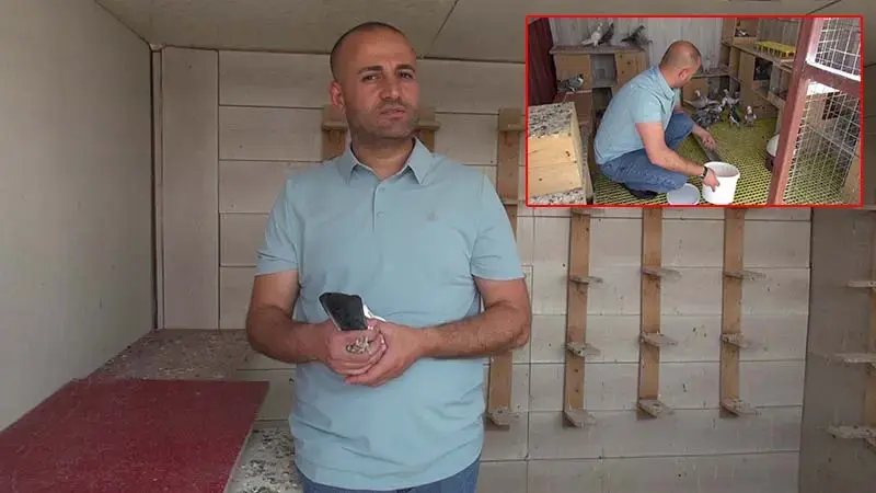 Sanal medya bağımlılığından güvercinler sayesinde kurtuldu