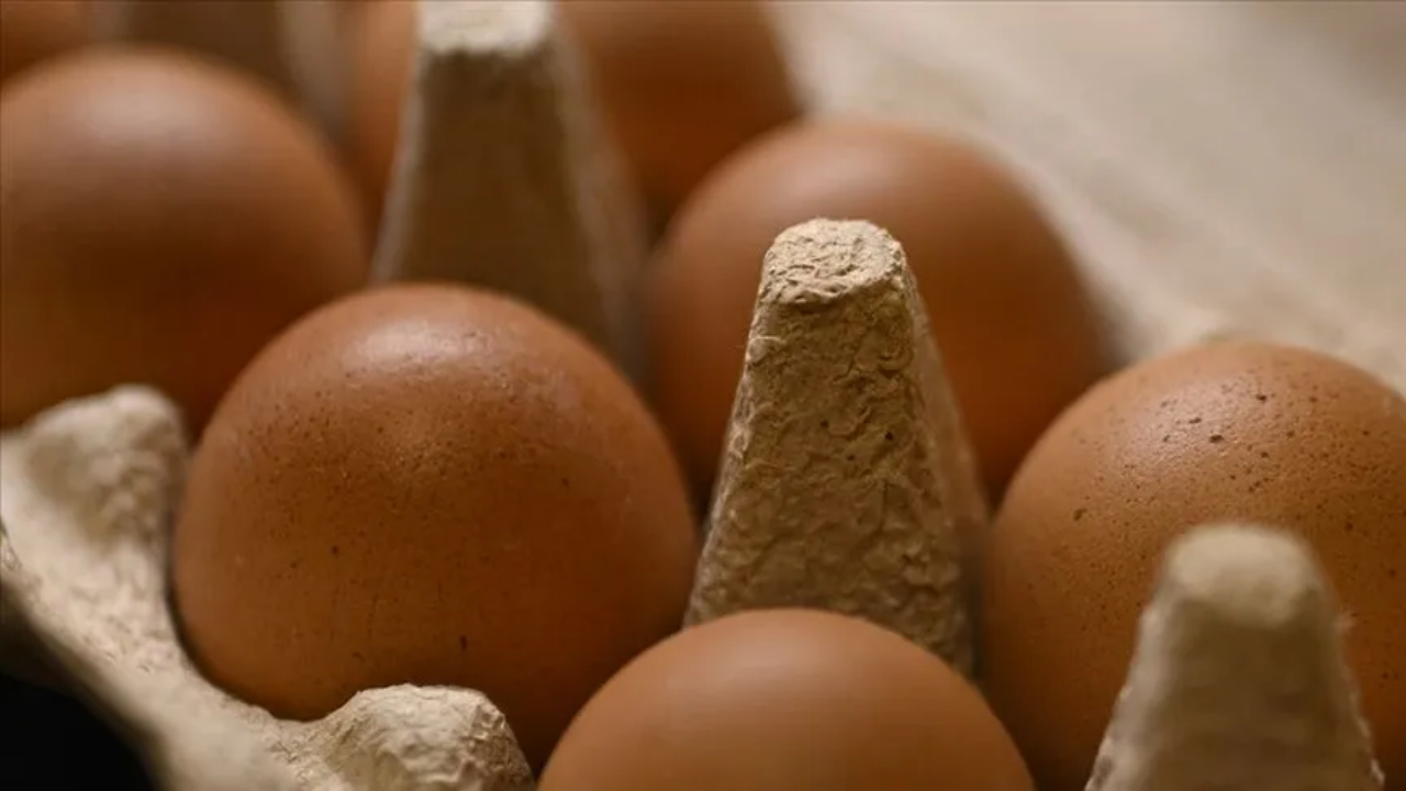 ABD'de milyonlarca yumurta salmonella şüphesiyle geri çağırıldı