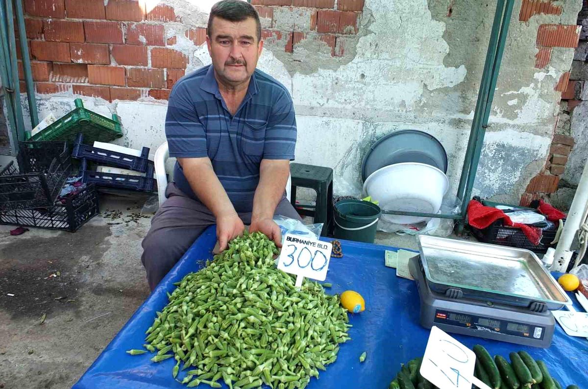 Burhaniye'de bamya üreticisine kazandırdı