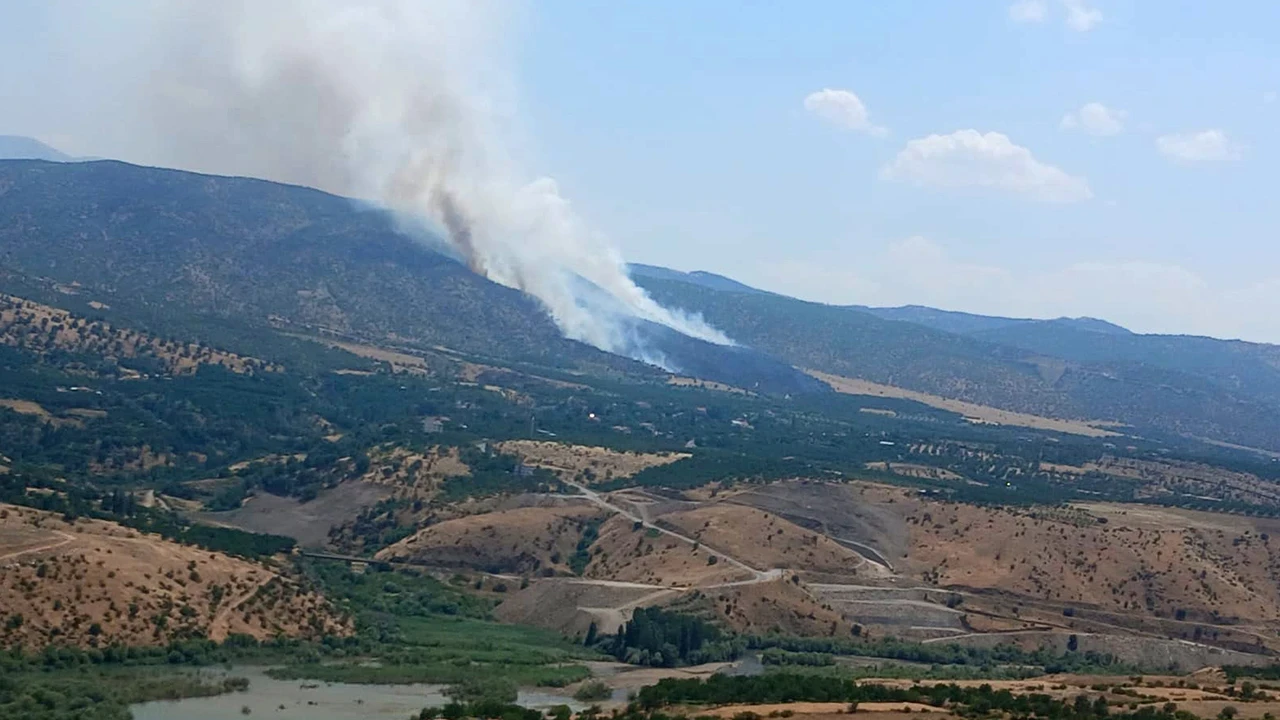 Malatya'da orman yangını