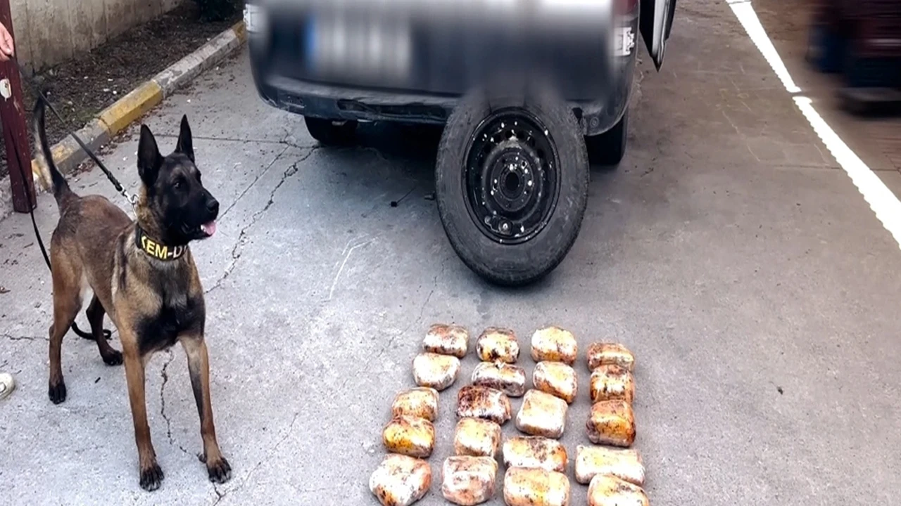 Yedek lastiğe gizlenmiş zulayı “Hector” buldu