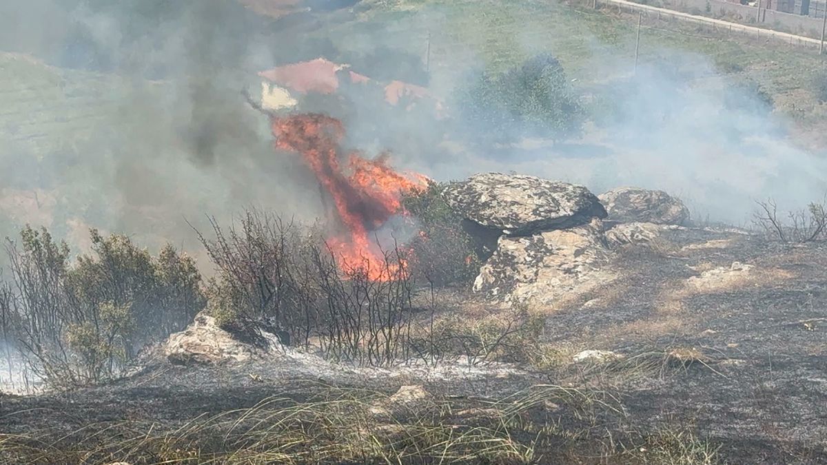 Manisa'da maki yangınında 30 dönüm alan zarar gördü