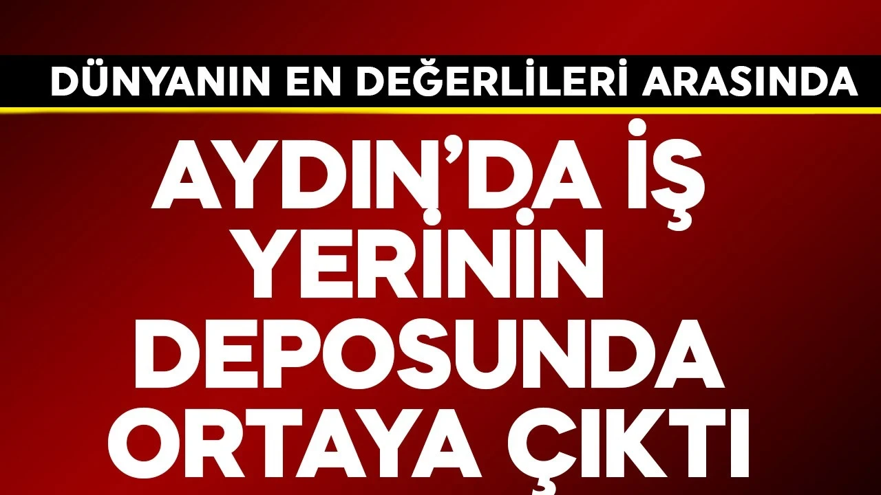 Aydın'da iş yerinin deposunda ortaya çıktı! Dünyanın en değerlileri arasında