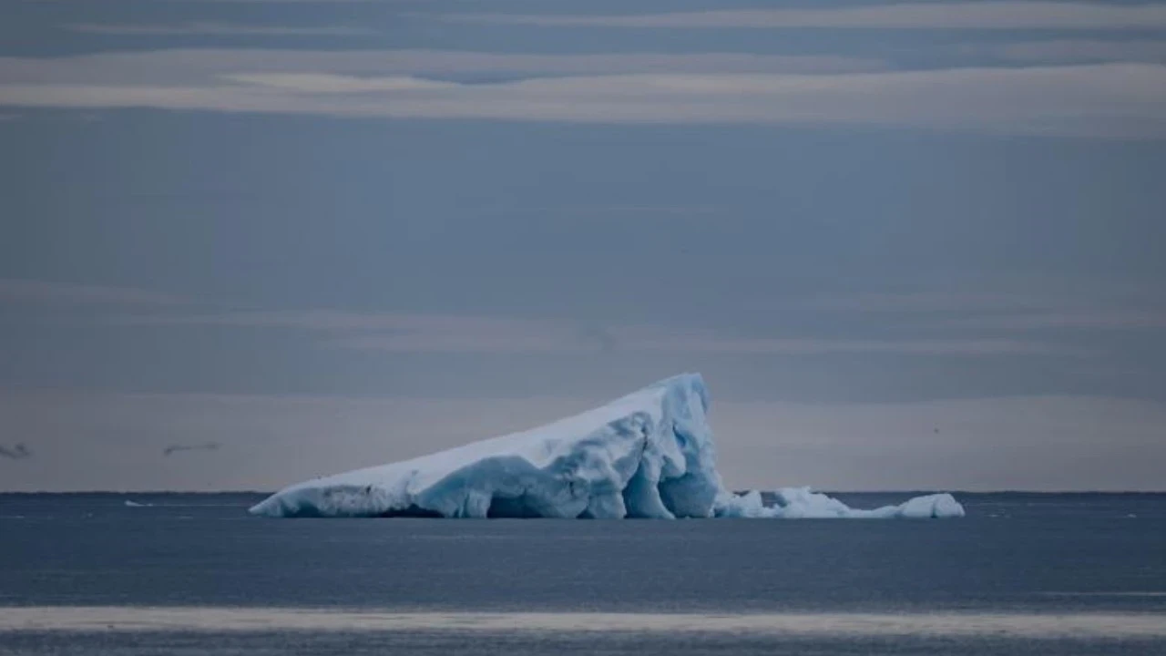 Titanic'in sonunu getirmişti: Dev buzdağı Grönland kıyılarına doğru ilerliyor