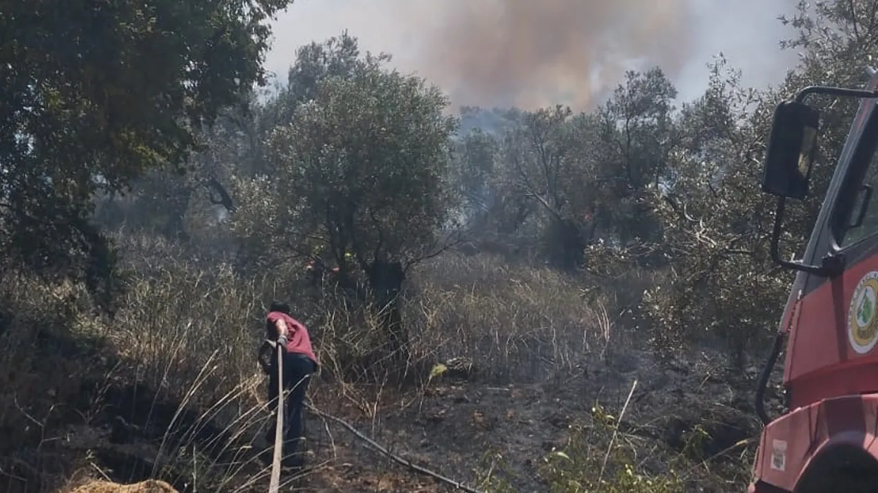 Araç yangını zeytinliğe sıçradı, ekipler tam zamanında yetişti