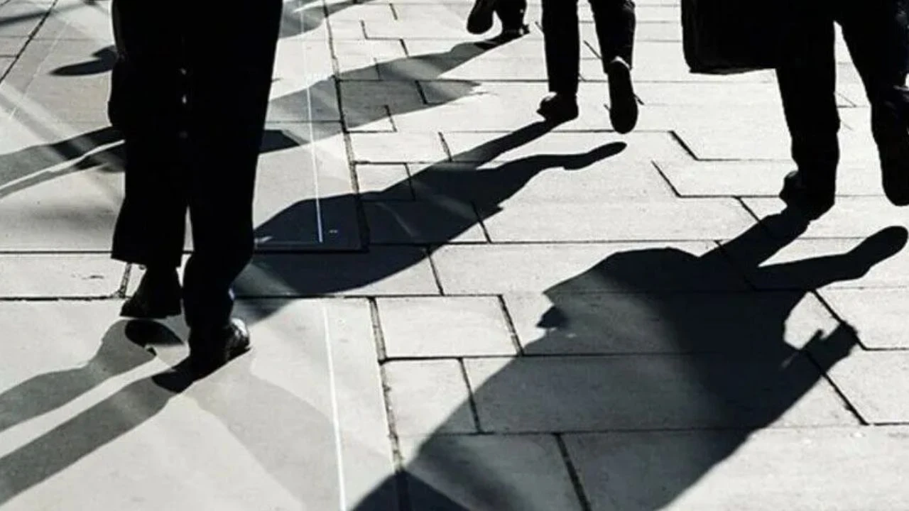 Üniversite mezunlarında istihdam oranı 2025'de yüzde 73,9 oldu