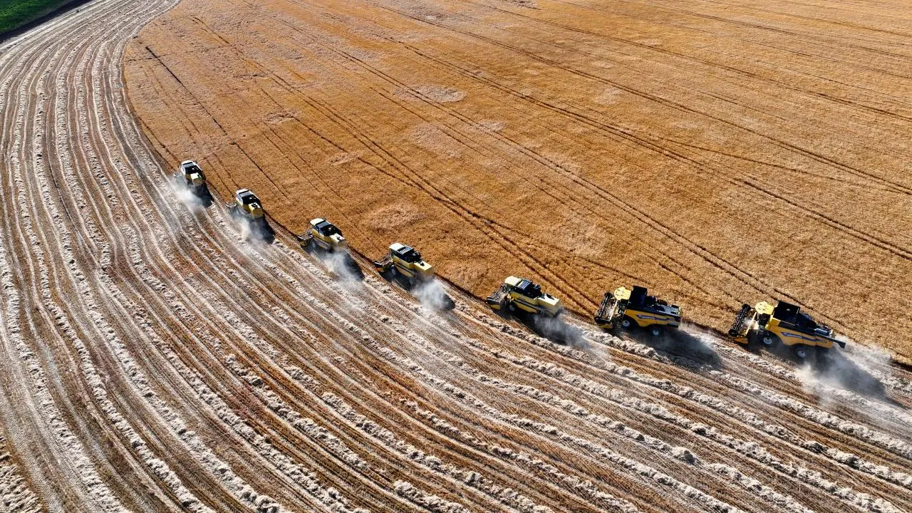 Tarımda bir ilk gerçekleşti! Türkiye Avrupa'da birinci, dünyada 7'nci