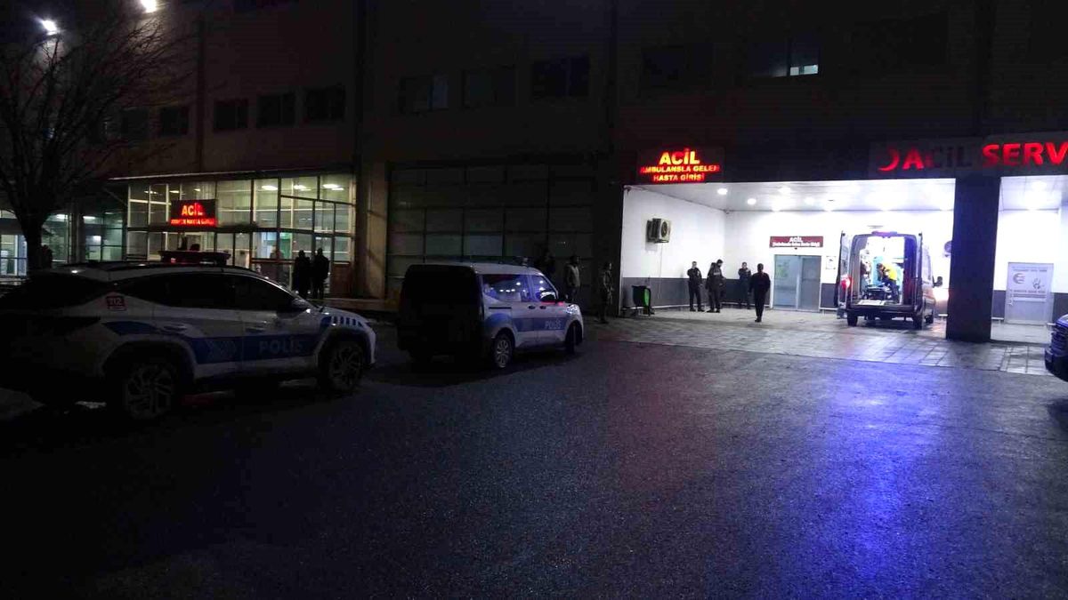 Malatya'da "dut ağacı" kavgasında 2 tutuklama
