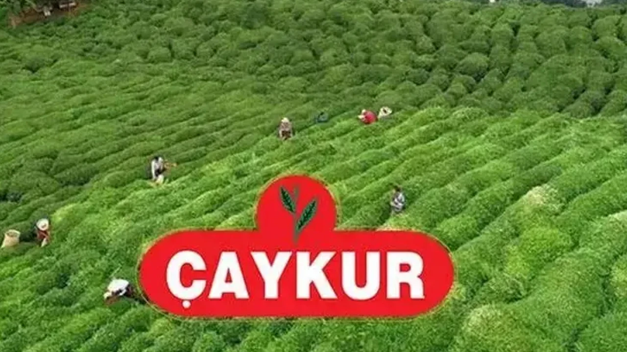 ÇAYKUR’dan kritik değişiklik: Yüzde 8 sınırı getirildi