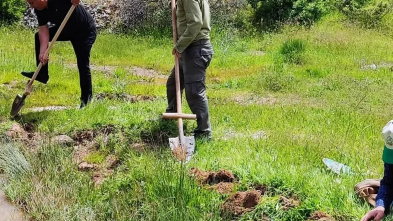 Bolu'da kilolarca salep toplayan 3 kişiye 2 milyon lira ceza!