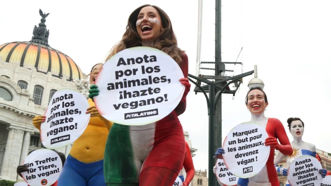 Vücutlarını boyayan eylemciler sokağa çıktı: Tek istekleri...