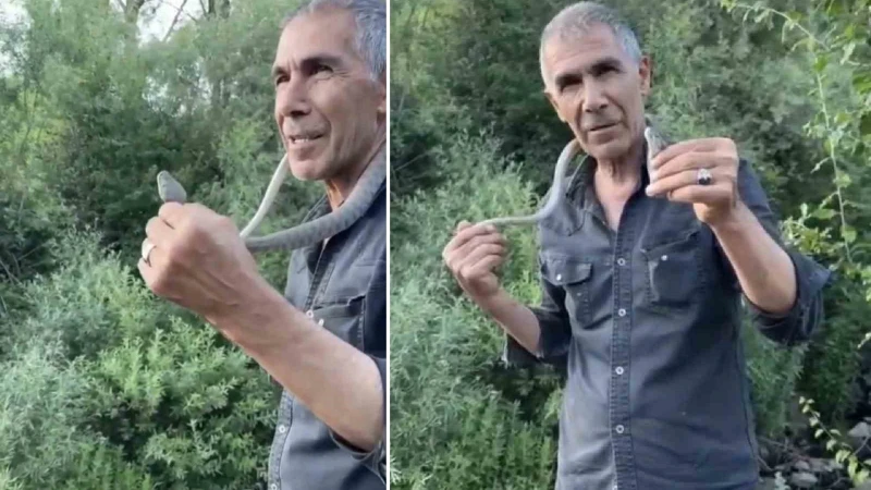 Bir ısırığı insanı öldürmeye yetiyor: Engerek yılanını eliyle yakaladı! 'Benim yaptığımı yapmayın'