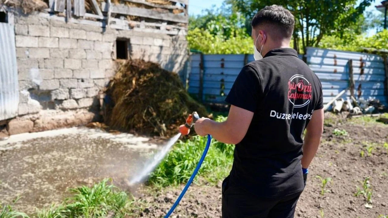 Düzce’de yaşayanlar dikkat Asya Kaplan sivrisineği can yakıyor