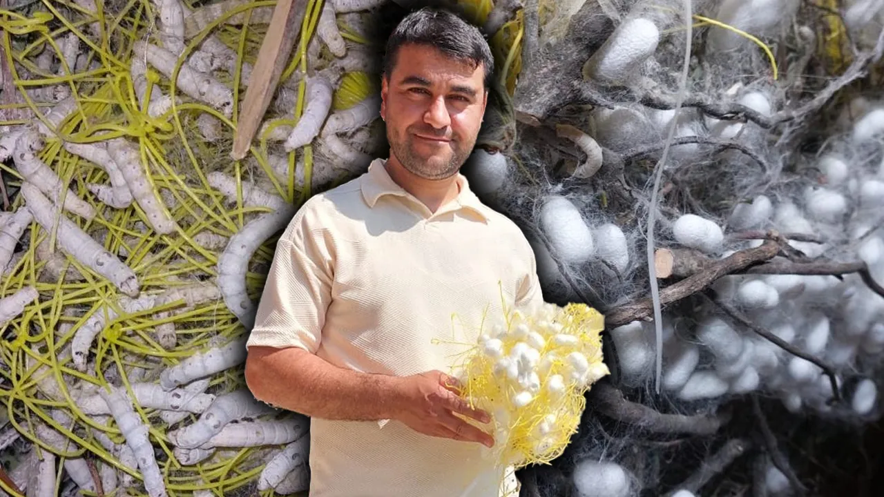 1 dönüm araziden 130 bin lira kazandırıyor! Fındığa göre 4 kat fazla getirisi var