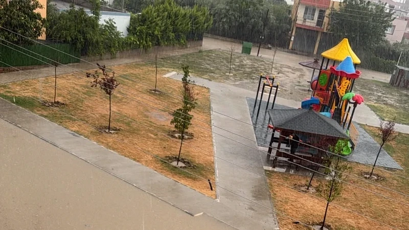 Osmaniye’de sağanak ve fırtına: Ağaçlar devrildi