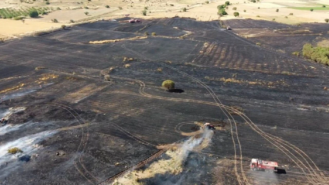 Balıkesir'deki arazi yangını söndürüldü