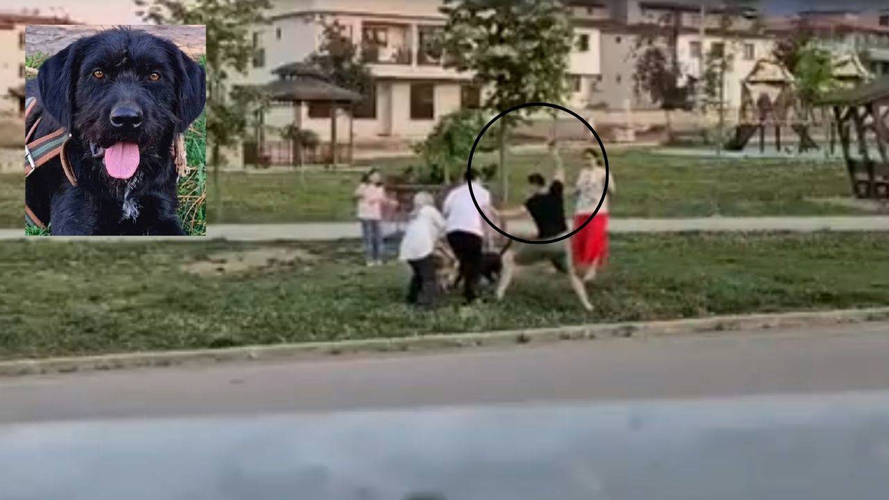 "Çocukları koruyordum" dedi, kamera görüntüleri ortaya çıktı: 'Patron' için adalet