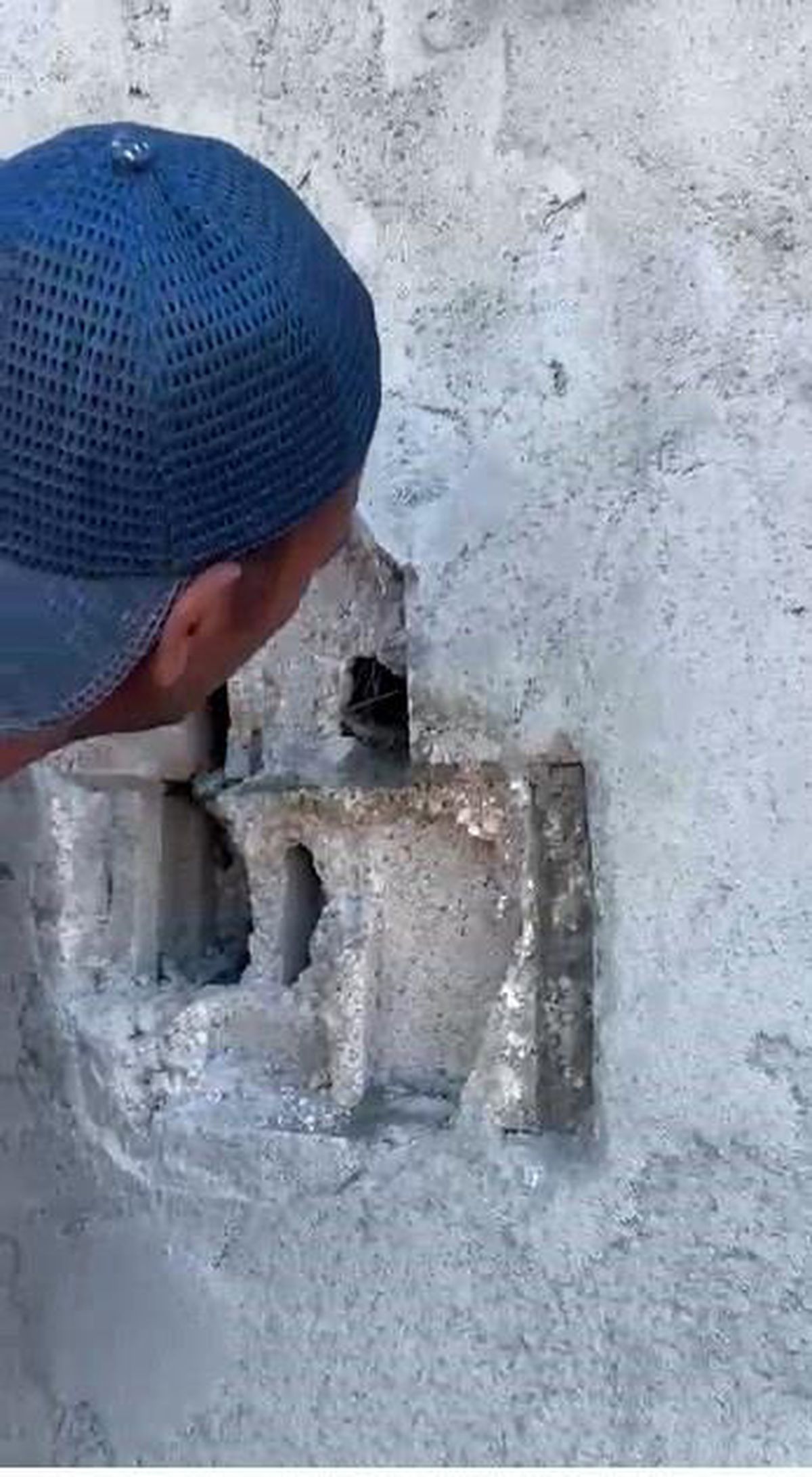 Kars'ta sıva altından gelen ses hayat kurtardı: Usta duvarı kırıp kuş yavrularını kurtardı