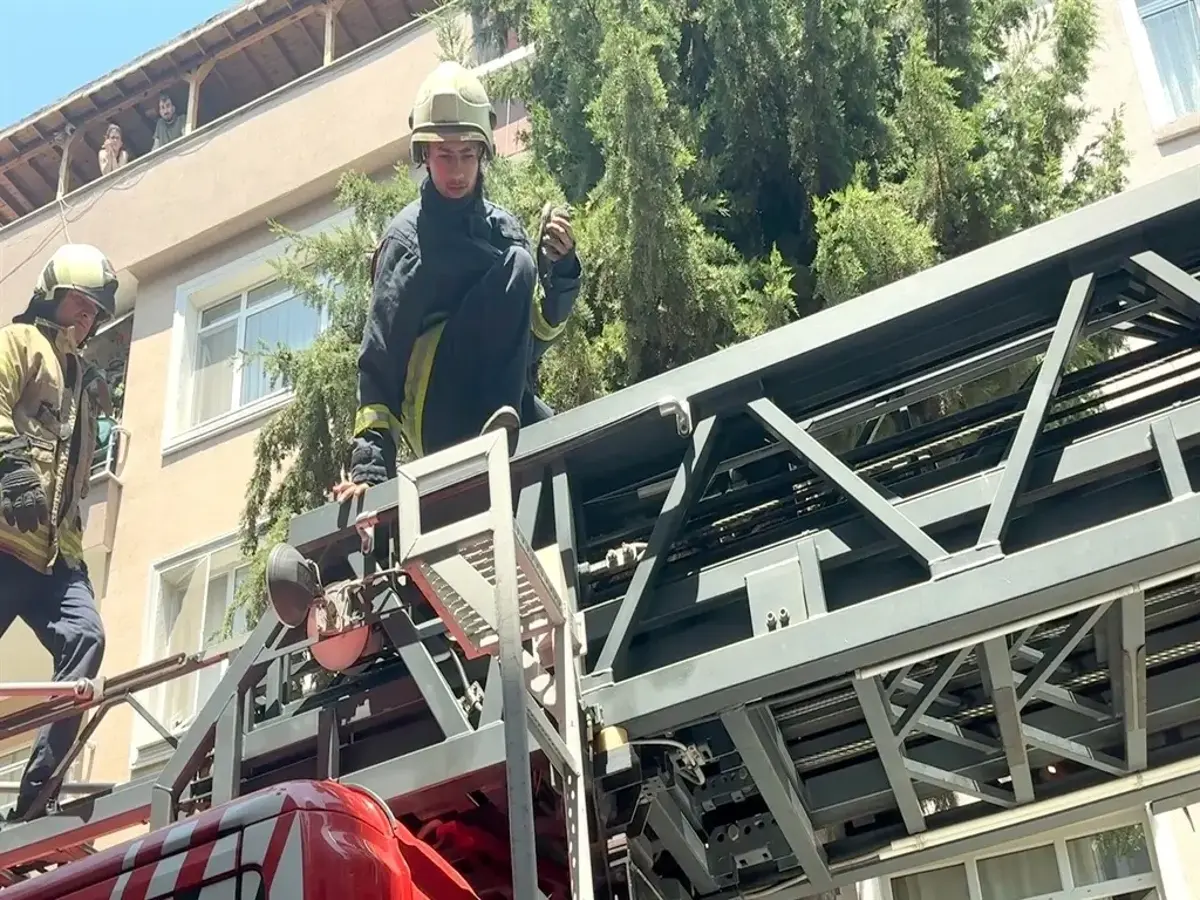 Avcılar'da mahsur kaldı: Güvercin hayata itfaiye ile tutundu
