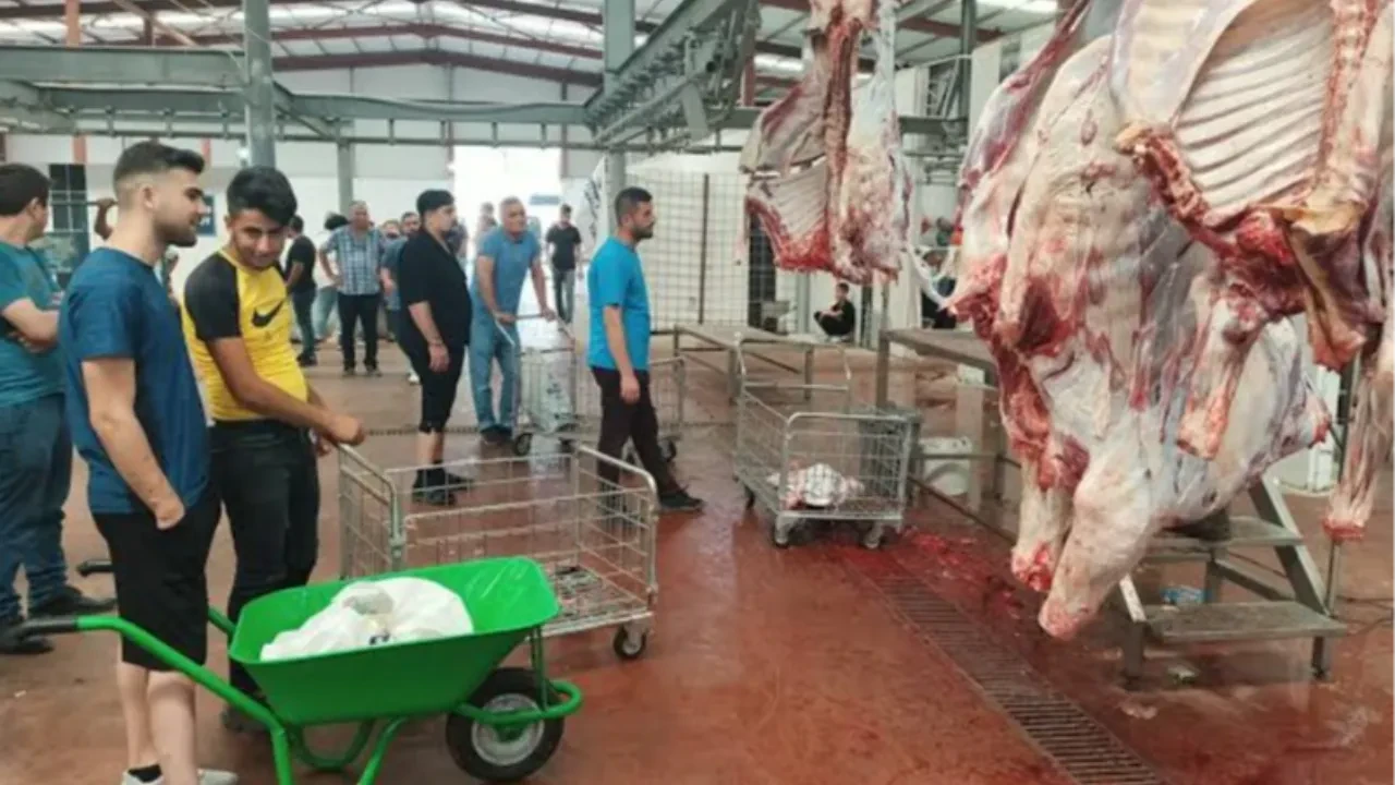 Et üretiminde yeni dönem başlıyor: Kesimhanelerde artık kamera zorunlu olacak