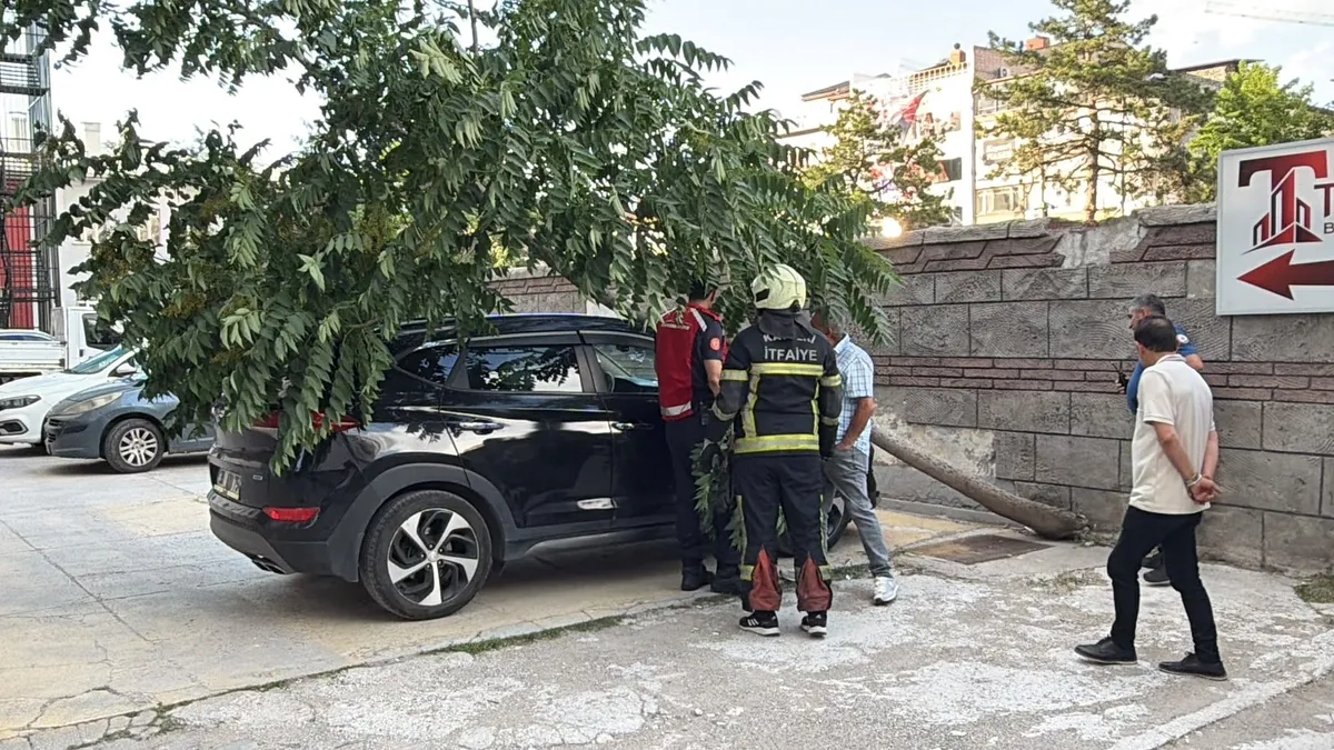 Kayseri'de yürekleri ağza getiren olay! Ağaç aracın üzerine devrildi