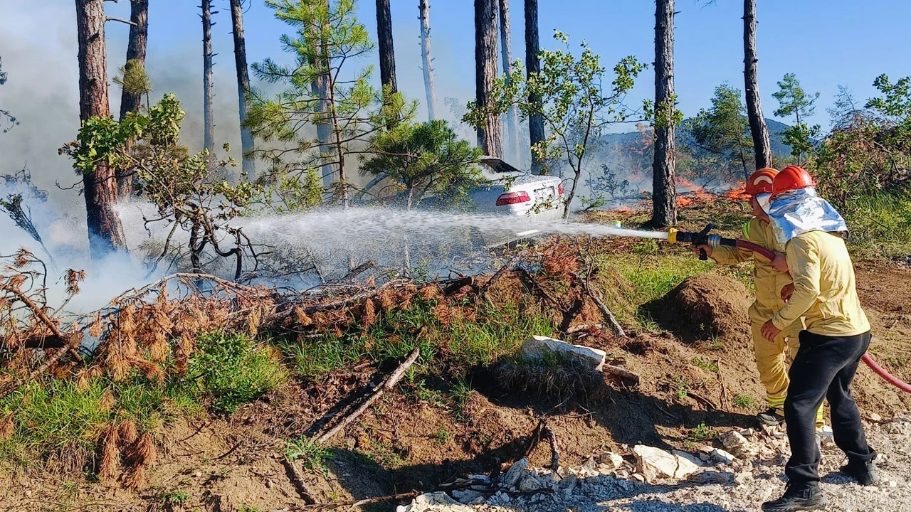 Park halindeydi: Bir anda alev topuna dönerek ormana sirayet etti