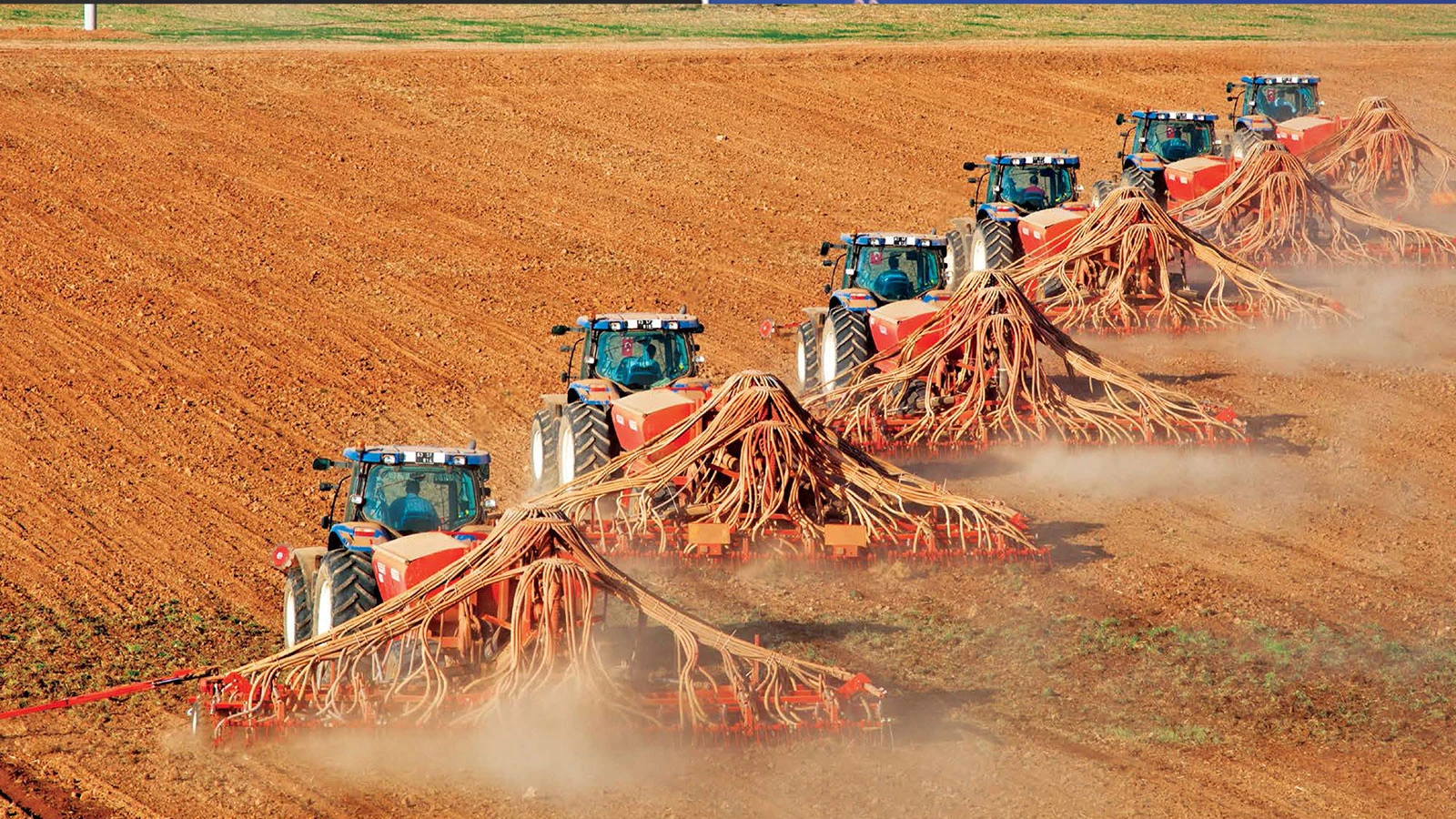 Tarım ÜFE haziran ayında hızlı geriledi