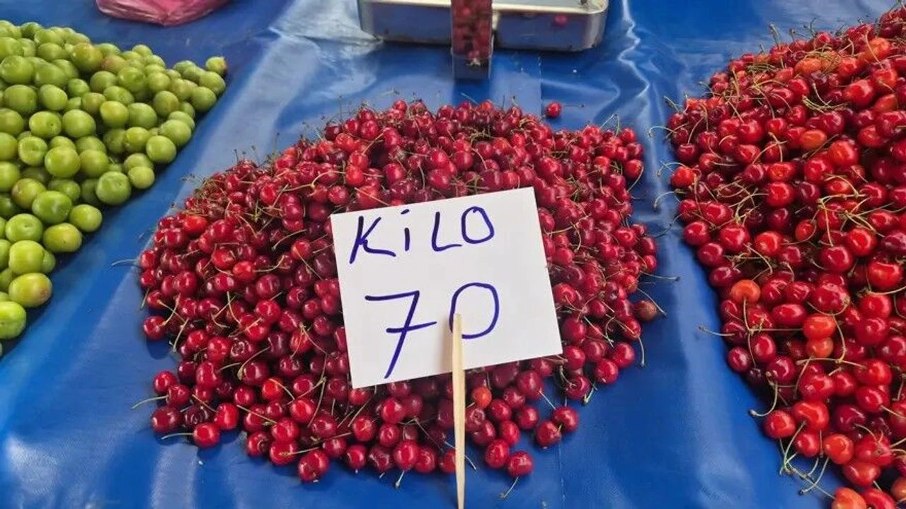 Rekolte arttı kirazın fiyatı yarı fiyatına düştü!